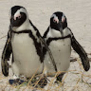 Meet your Posher, Erick